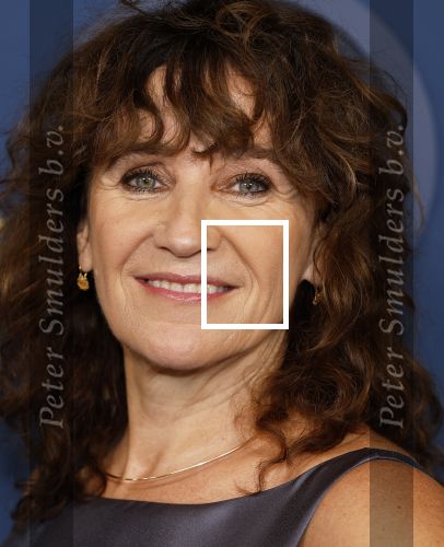Amsterdam 17 oktober 2024
Het televizierring gala 2024  in carre . Renee Fokker