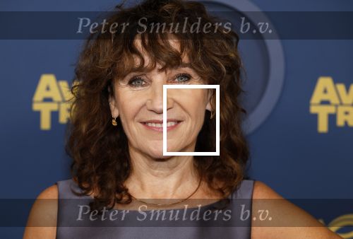 Amsterdam 17 oktober 2024
Het televizierring gala 2024  in carre . Renee Fokker