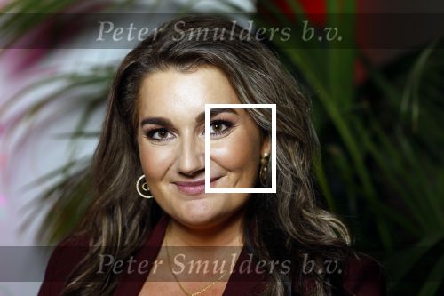 Rotterdam 18 oktober 2024
Frans Bauer treedt voor de 52e keer in ahoy op . Hij tradt oa samen op met zijn zoons Christiaan Frans jr en Jan . Ook Mariska Bauer trad op met Patty Brard . Verder aanwezig Lee Towers Billy Dans Django Wagner Chantal janzen Amar  en Sieneke. Ook de moeder van Frans en moeder van mariska waren aanwezig en zaten op de eerste rij .