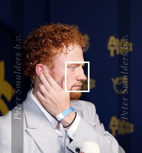Amsterdam 17 oktober 2024
Het televizierring gala 2024  in carre . Sil van der Geest