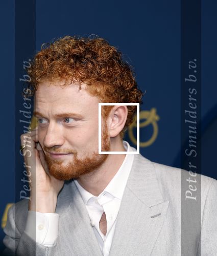 Amsterdam 17 oktober 2024
Het televizierring gala 2024  in carre . Sil van der Geest