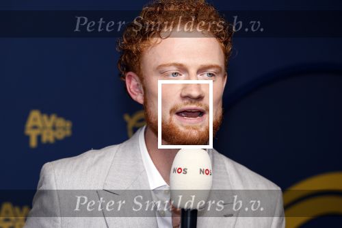 Amsterdam 17 oktober 2024
Het televizierring gala 2024  in carre . Sil van der Geest