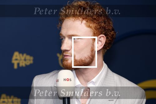 Amsterdam 17 oktober 2024
Het televizierring gala 2024  in carre . Sil van der Geest