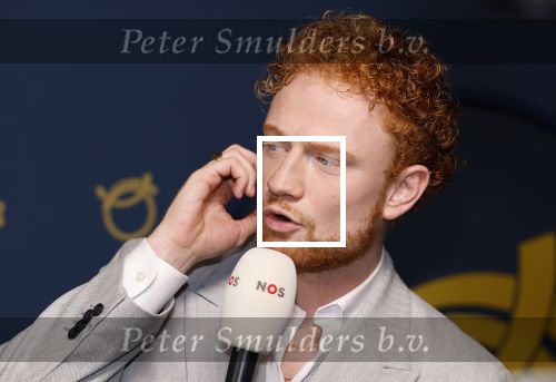 Amsterdam 17 oktober 2024
Het televizierring gala 2024  in carre . Sil van der Geest