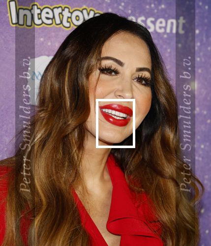 Amsterdam 19 oktober 2024
Premiere de grote Sinterklaasfilm in Tuschinski. tamara Elbaz met zoontje