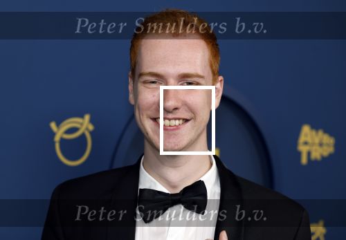 Amsterdam 17 oktober 2024
Het televizierring gala 2024  in carre .