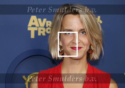 Amsterdam 17 oktober 2024
Het televizierring gala 2024  in carre .