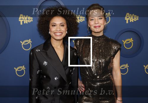 Amsterdam 17 oktober 2024
Het televizierring gala 2024  in carre .