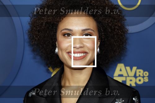Amsterdam 17 oktober 2024
Het televizierring gala 2024  in carre .