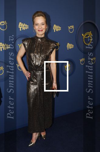 Amsterdam 17 oktober 2024
Het televizierring gala 2024  in carre .