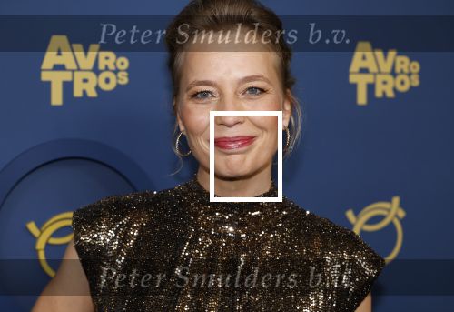Amsterdam 17 oktober 2024
Het televizierring gala 2024  in carre .