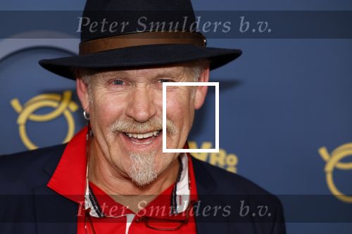 Amsterdam 17 oktober 2024
Het televizierring gala 2024  in carre . Thijz uit B&B Vol liefde
