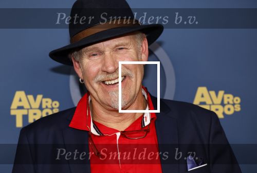 Amsterdam 17 oktober 2024
Het televizierring gala 2024  in carre . Thijz uit B&B Vol liefde