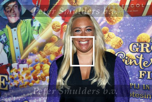 Amsterdam 19 oktober 2024
Premiere de grote Sinterklaasfilm in Tuschinski. Valerie Gumster