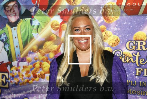 Amsterdam 19 oktober 2024
Premiere de grote Sinterklaasfilm in Tuschinski. Valerie Gumster