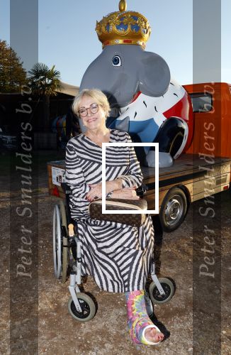 Hilversum 4 oktober 2024
Feestje Nicole des Bouvrie op de sterfdag van haar vader Jan des Bouvrie . Viola Holt in rolstoel met gebroken been