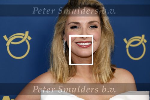 Amsterdam 17 oktober 2024
Het televizierring gala 2024  in carre . Welmoed Sijtsma met een kennis