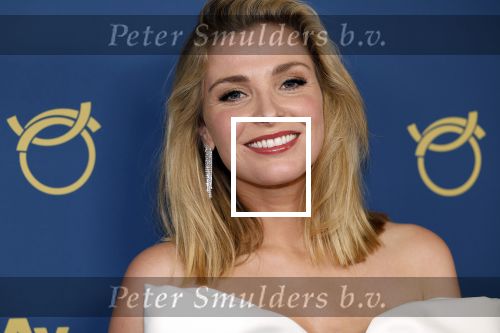 Amsterdam 17 oktober 2024
Het televizierring gala 2024  in carre . Welmoed Sijtsma met een kennis