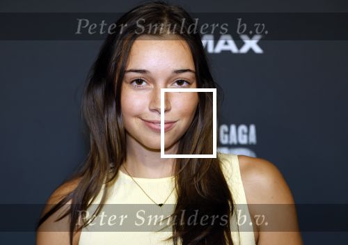 Amsterdam 1 oktober 2024
Premiere the Joker in pathe Arena. Wendy Ruijfrok