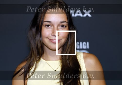 Amsterdam 1 oktober 2024
Premiere the Joker in pathe Arena. Wendy Ruijfrok