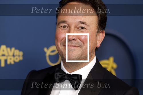 Amsterdam 17 oktober 2024
Het televizierring gala 2024  in carre . Xander v d Wulp