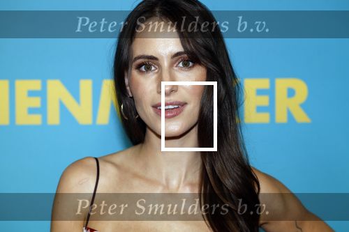 Amsterdam 14 oktober 2024
Premiere de Mannenmaker in Tuschinski met in de hoofdrollen oa Katja Schuurman Eva v d Wijdeven Leo Alkemade Georgina Verbaan Melissas Drost Huub Smit Yasmin Karssing en Rene Watzema . Yasmin Karssing kwam met haar vader