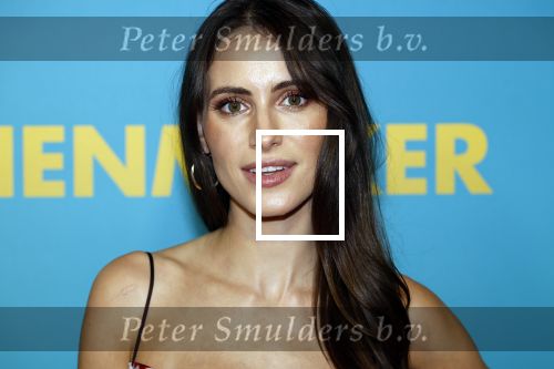 Amsterdam 14 oktober 2024
Premiere de Mannenmaker in Tuschinski met in de hoofdrollen oa Katja Schuurman Eva v d Wijdeven Leo Alkemade Georgina Verbaan Melissas Drost Huub Smit Yasmin Karssing en Rene Watzema . Yasmin Karssing kwam met haar vader