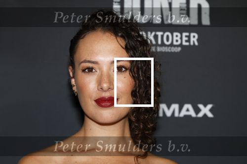 Amsterdam 1 oktober 2024
Premiere the Joker in pathe Arena. Zoe Ivory