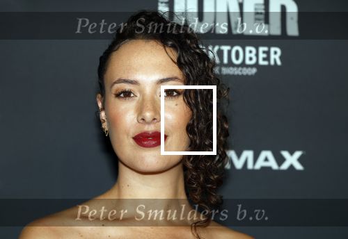 Amsterdam 1 oktober 2024
Premiere the Joker in pathe Arena. Zoe Ivory