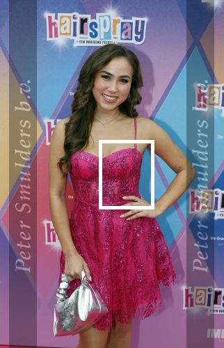 Rotterdam 12 oktober 2025
Premiere Hairspray in het oude Luxor in Rotterdam. Anique Dreamon