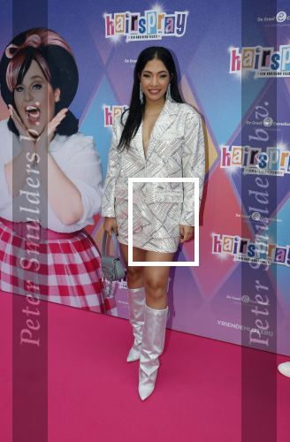 Rotterdam 12 oktober 2025
Premiere Hairspray in het oude Luxor in Rotterdam. April darby met partner