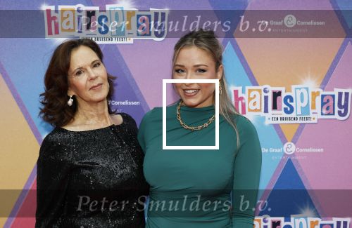 Rotterdam 12 oktober 2025
Premiere Hairspray in het oude Luxor in Rotterdam. Beate v d Weide