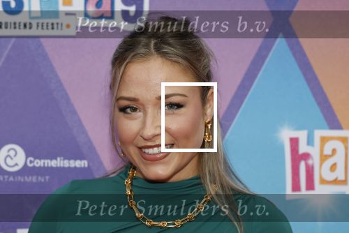 Rotterdam 12 oktober 2025
Premiere Hairspray in het oude Luxor in Rotterdam. Beate v d Weide