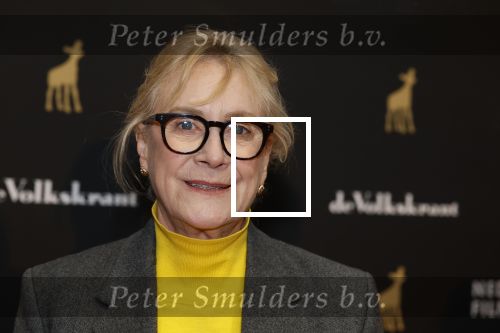 Utrecht 3 oktober 2025
Uitreiking gouden kalveren op het Nederlands film festival. Beppie Melissen met partner