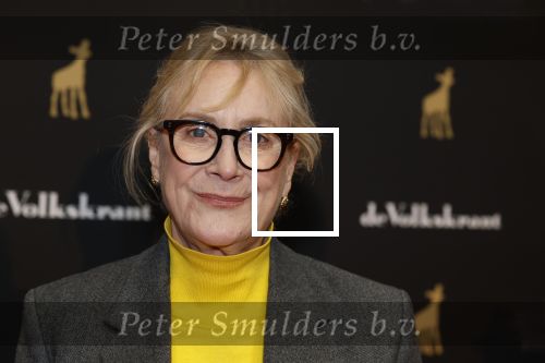 Utrecht 3 oktober 2025
Uitreiking gouden kalveren op het Nederlands film festival. Beppie Melissen met partner