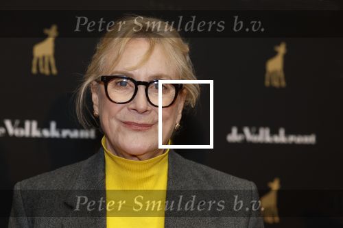 Utrecht 3 oktober 2025
Uitreiking gouden kalveren op het Nederlands film festival. Beppie Melissen met partner