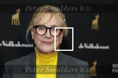 Utrecht 3 oktober 2025
Uitreiking gouden kalveren op het Nederlands film festival. Beppie Melissen met partner