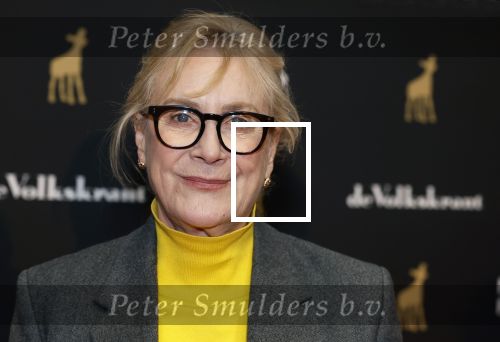 Utrecht 3 oktober 2025
Uitreiking gouden kalveren op het Nederlands film festival. Beppie Melissen met partner