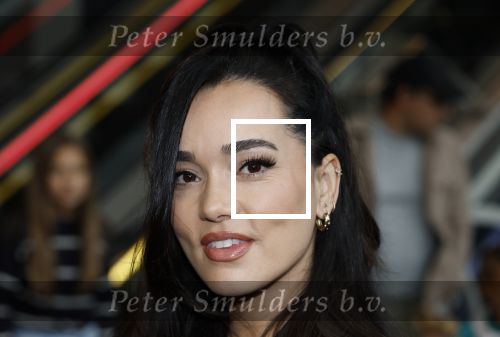 Utrecht 12 oktober 2025
Premiere de club van sinterklaas in kinepolis . Bibi Breijeman met kinderen