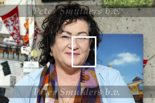 Den Haag 10 oktober 2025
Caroline v d Plas in haar kantoor bij de tweede kamer.
