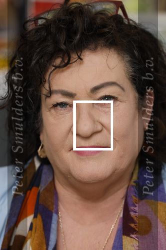 Den Haag 10 oktober 2025
Caroline v d Plas in haar kantoor bij de tweede kamer.