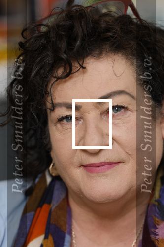 Den Haag 10 oktober 2025
Caroline v d Plas in haar kantoor bij de tweede kamer.