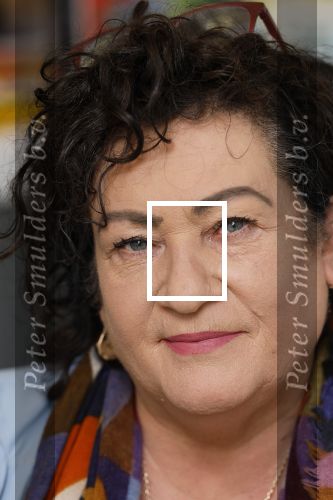 Den Haag 10 oktober 2025
Caroline v d Plas in haar kantoor bij de tweede kamer.