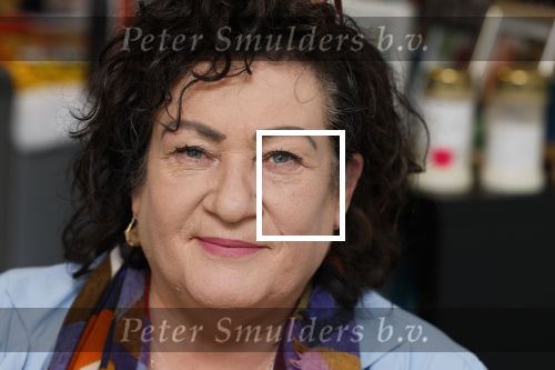Den Haag 10 oktober 2025
Caroline v d Plas in haar kantoor bij de tweede kamer.