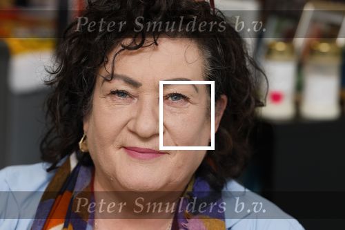 Den Haag 10 oktober 2025
Caroline v d Plas in haar kantoor bij de tweede kamer.