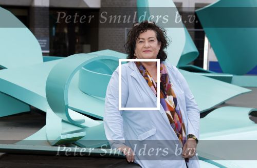 Den Haag 10 oktober 2025
Caroline v d Plas in haar kantoor bij de tweede kamer.