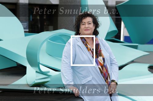 Den Haag 10 oktober 2025
Caroline v d Plas in haar kantoor bij de tweede kamer.