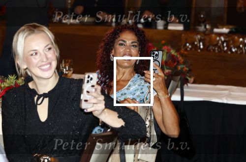 Amsterdam 6 oktober 2025
Uitreiking strong women awards in hotel the Grand . Chimene v Oosterhout