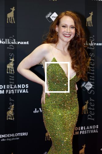 Utrecht 3 oktober 2025
Uitreiking gouden kalveren op het Nederlands film festival. Dian Biemans