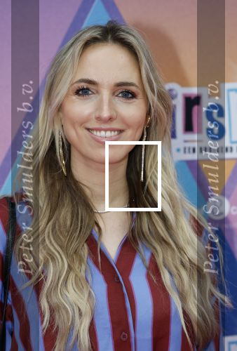 Rotterdam 12 oktober 2025
Premiere Hairspray in het oude Luxor in Rotterdam. Eline de Ruig met partner